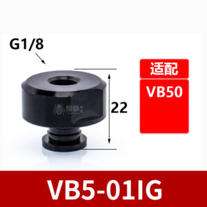 VB5-01IG G1/8